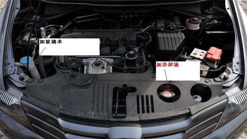 国产大牛怎么加水视频,视频教学轻松上手